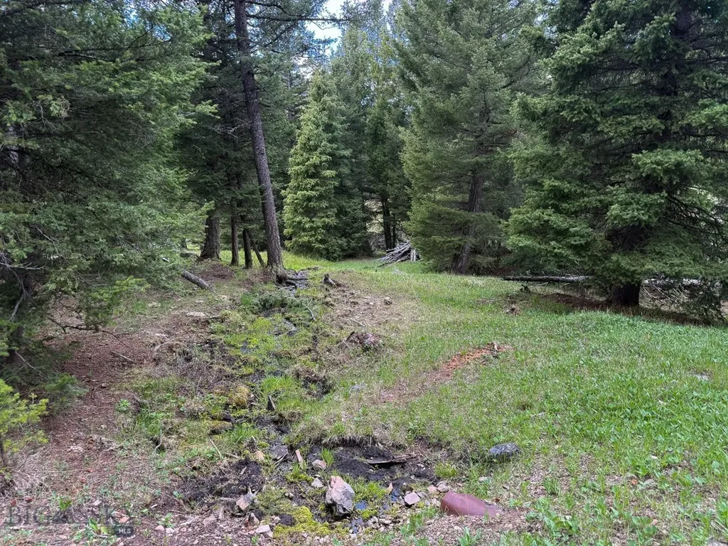 Nhn Hoover Creek Road Helmville MT 59843