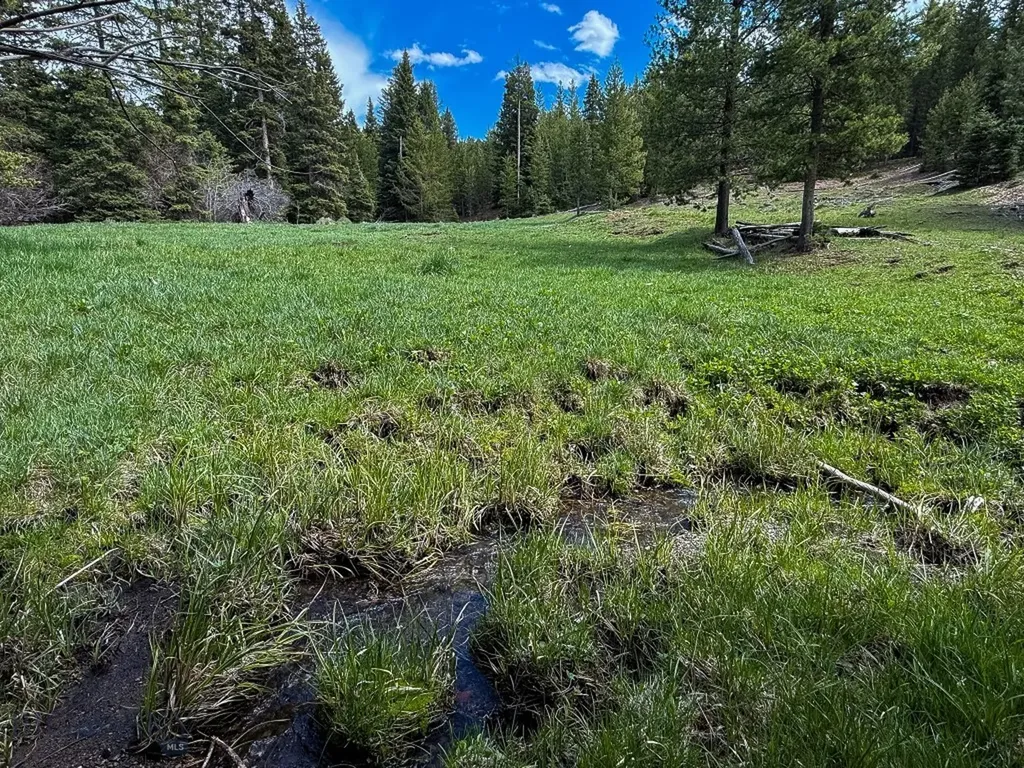 Nhn Hoover Creek Road Helmville MT 59843
