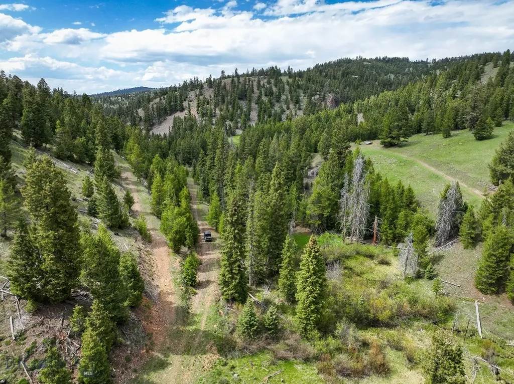 Nhn Hoover Creek Road Helmville MT 59843