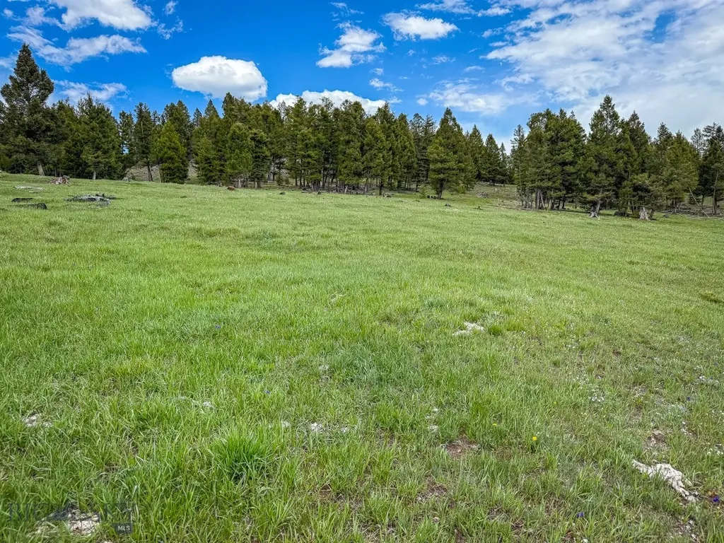 Nhn Hoover Creek Road Helmville MT 59843