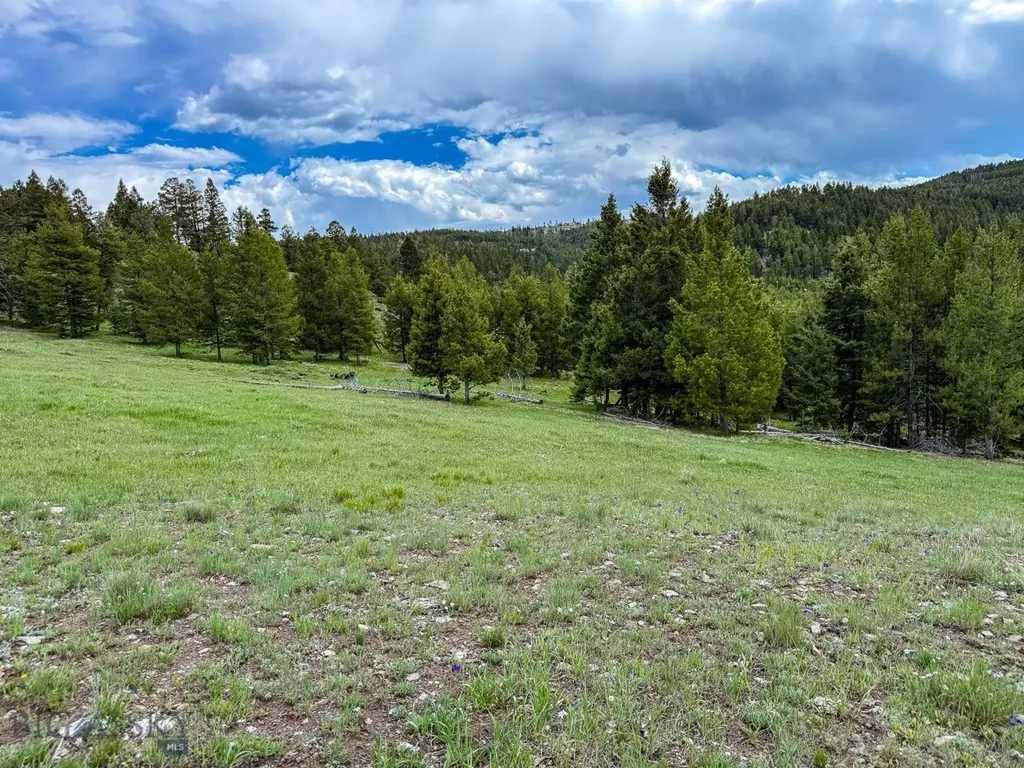 Nhn Hoover Creek Road Helmville MT 59843