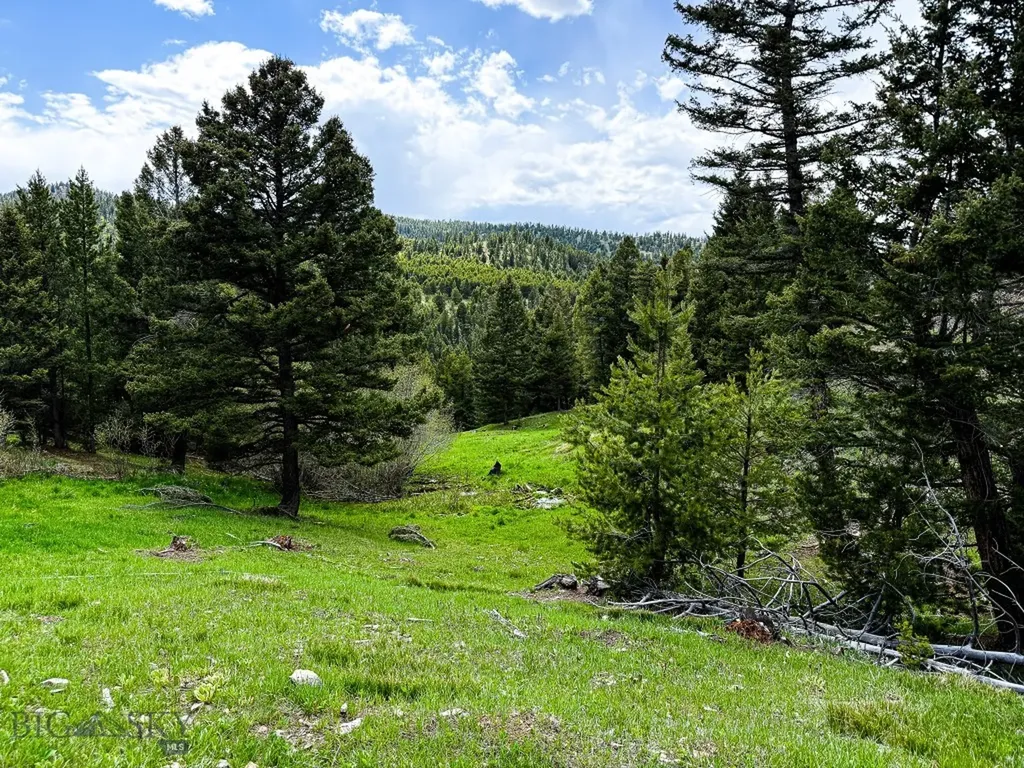 Nhn Hoover Creek Road Helmville MT 59843