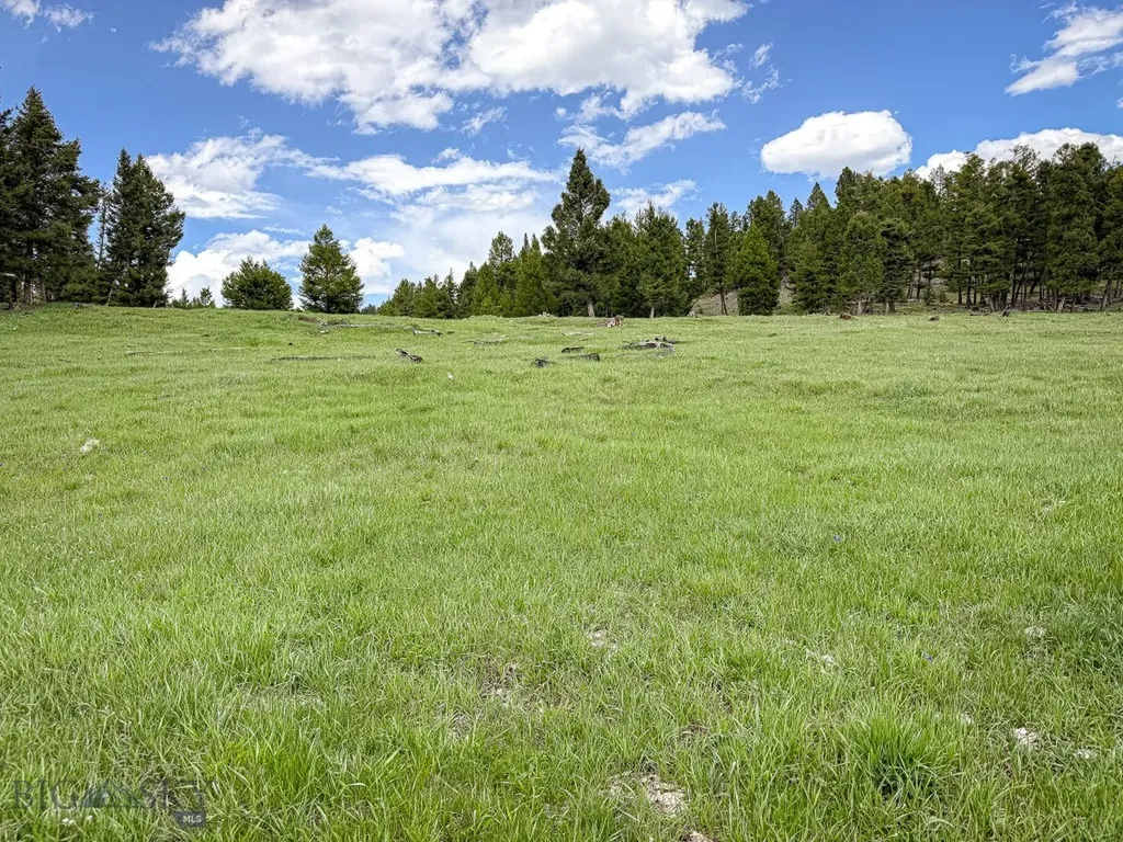 Nhn Hoover Creek Road Helmville MT 59843