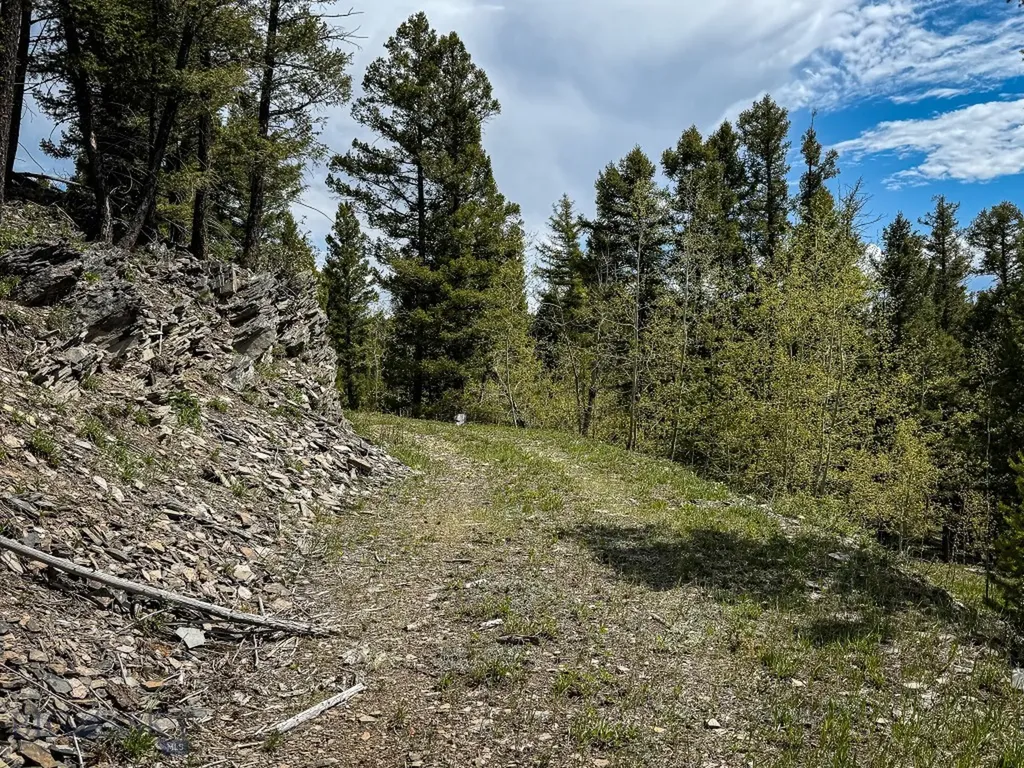 Nhn Hoover Creek Road Helmville MT 59843