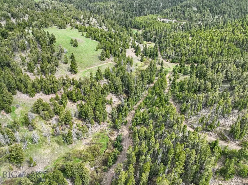 Nhn Hoover Creek Road Helmville MT 59843