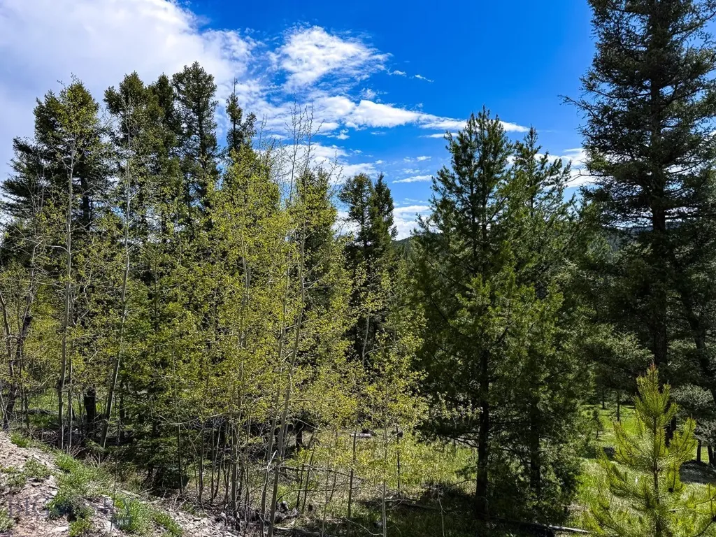 Nhn Hoover Creek Road Helmville MT 59843