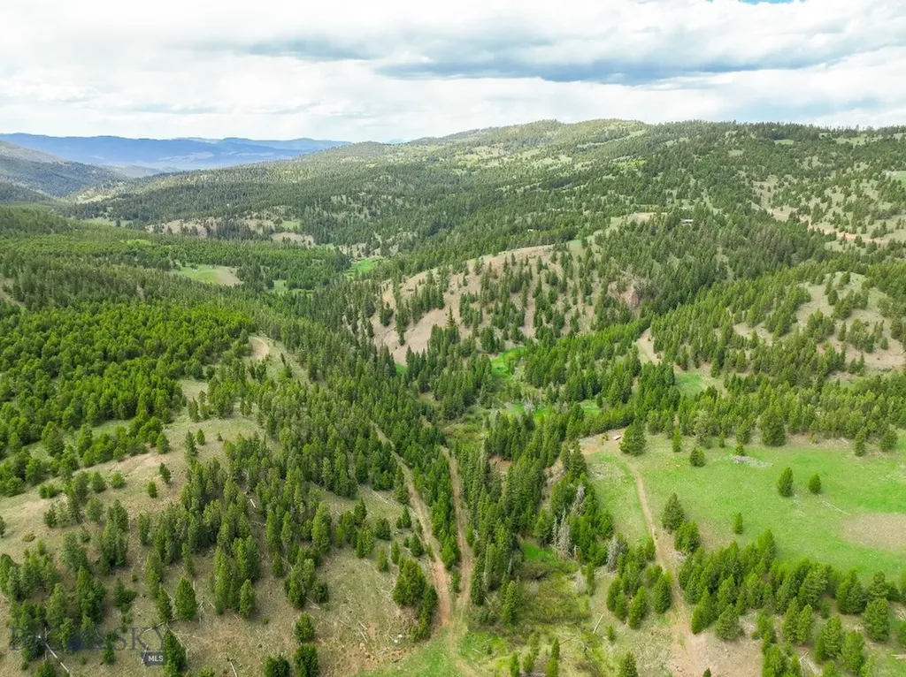 Nhn Hoover Creek Road Helmville MT 59843