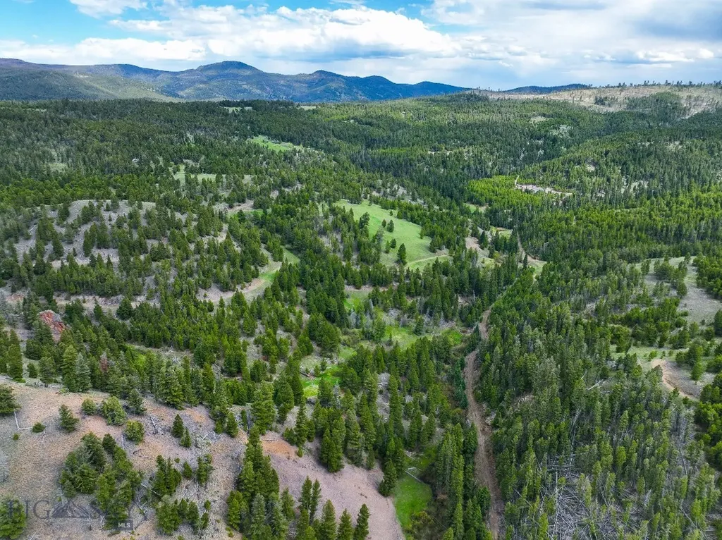 Nhn Hoover Creek Road Helmville MT 59843