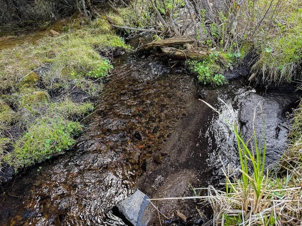 Nhn Hoover Creek Road Helmville MT 59843