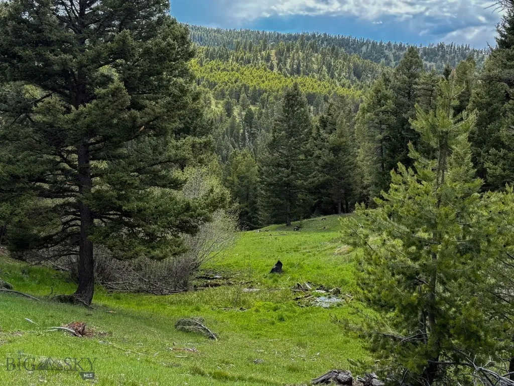 Nhn Hoover Creek Road Helmville MT 59843