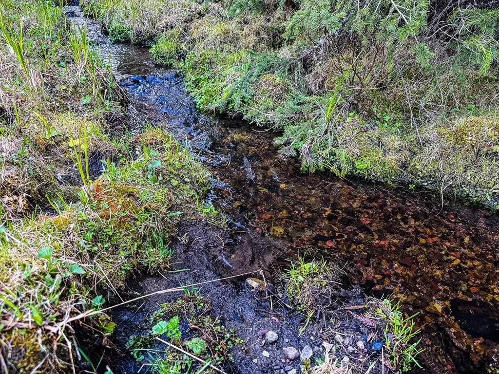 Nhn Hoover Creek Road Helmville MT 59843