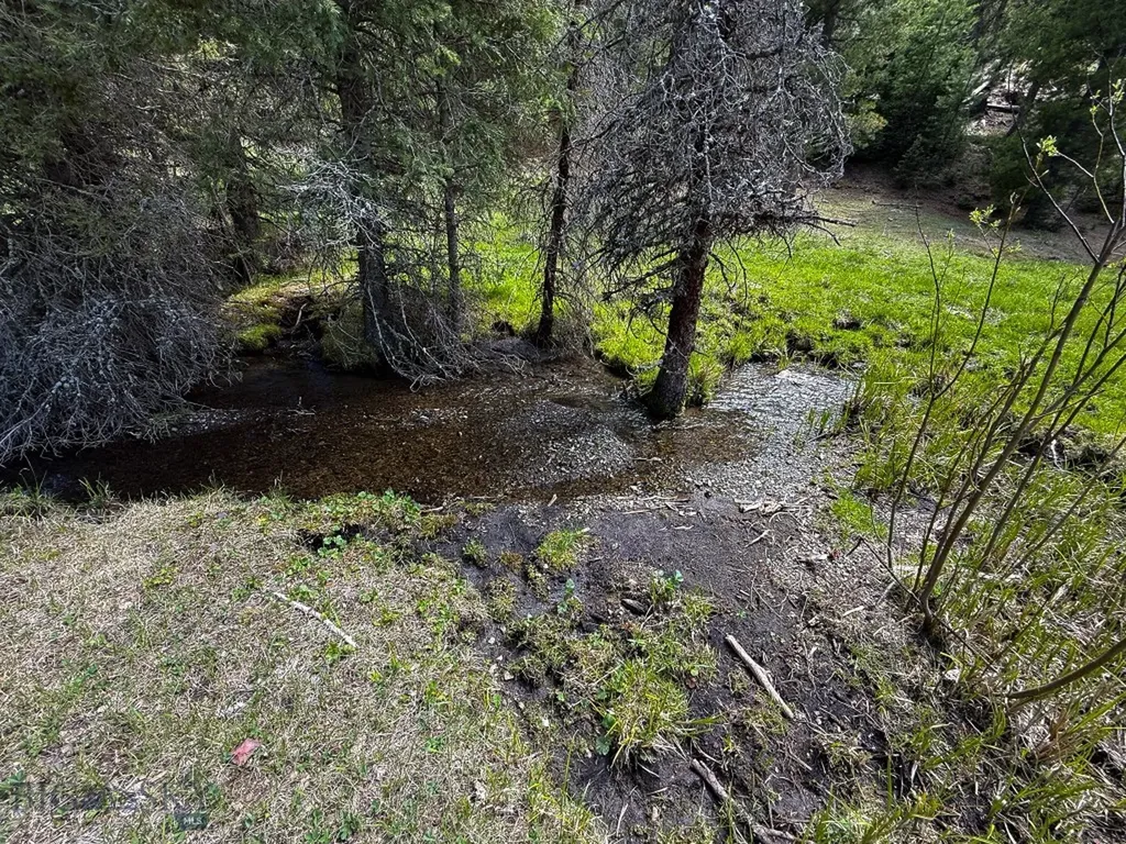 Nhn Hoover Creek Road Helmville MT 59843