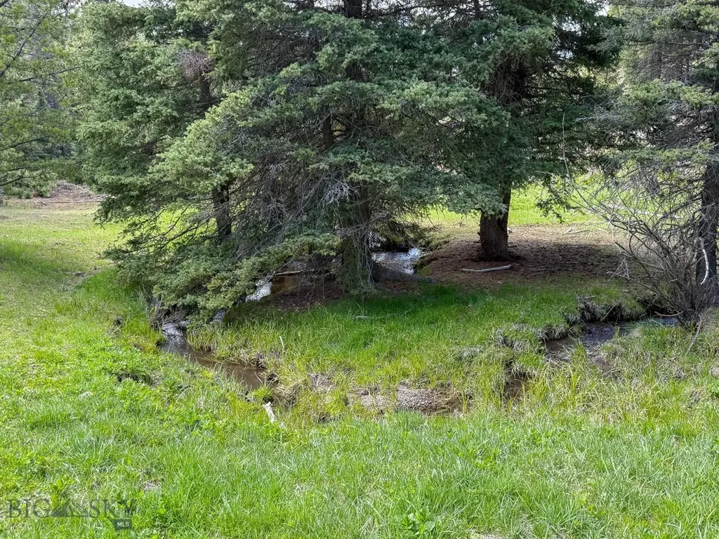 Nhn Hoover Creek Road Helmville MT 59843