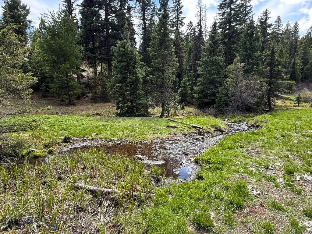 Nhn Hoover Creek Road Helmville MT 59843