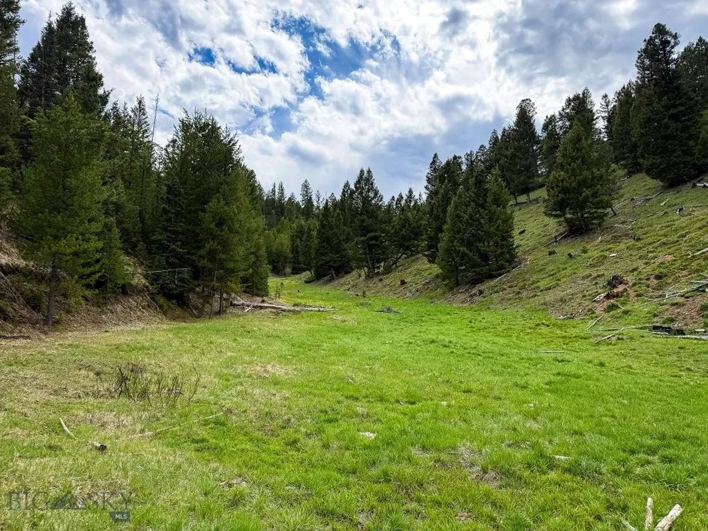 Nhn Hoover Creek Road Helmville MT 59843