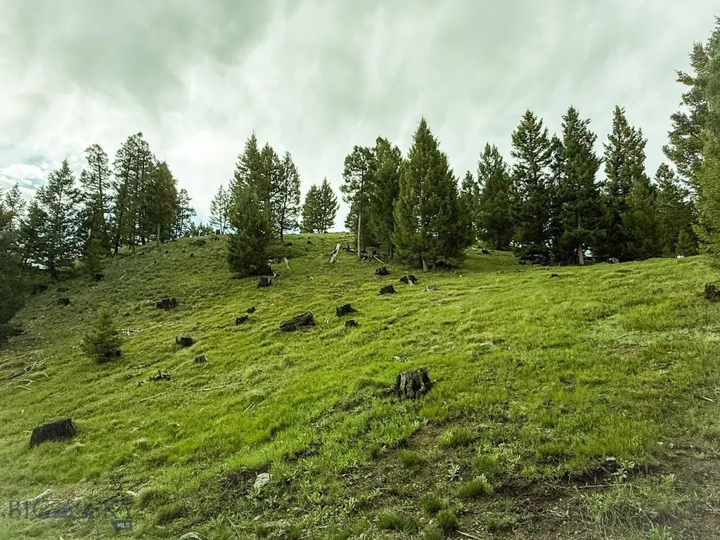 Nhn Hoover Creek Road Helmville MT 59843