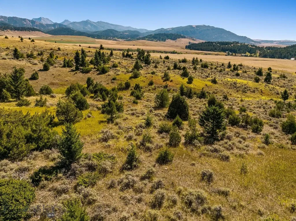 169 N Fork Horse Creek Road Wilsall MT 59086
