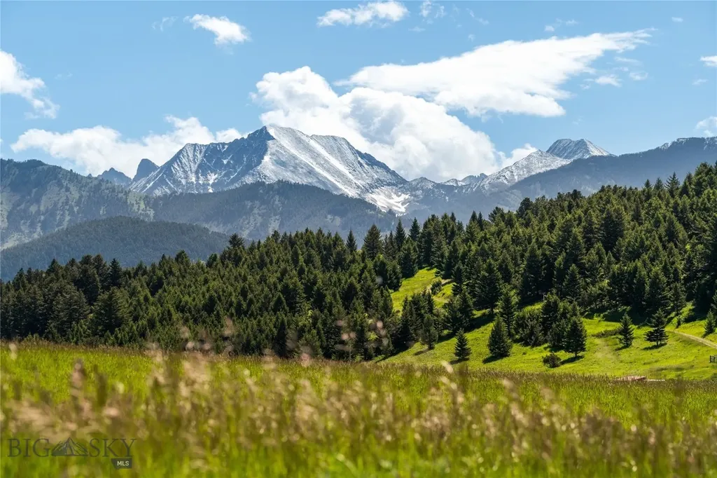 169 N Fork Horse Creek Road Wilsall MT 59086