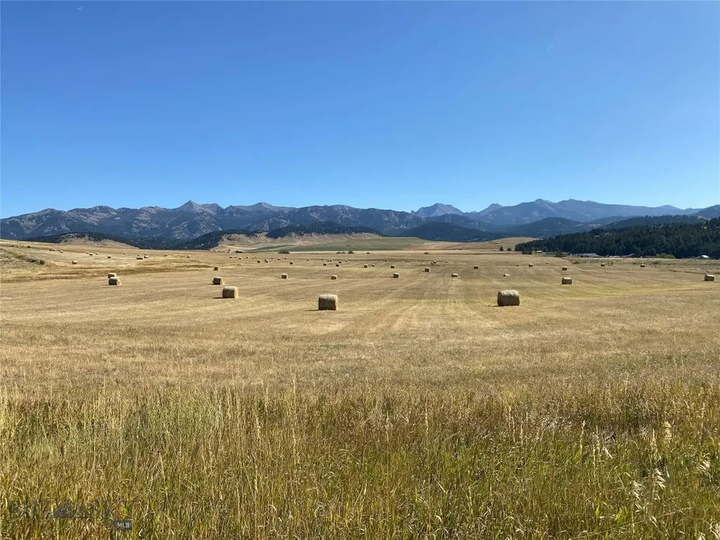 169 N Fork Horse Creek Road Wilsall MT 59086