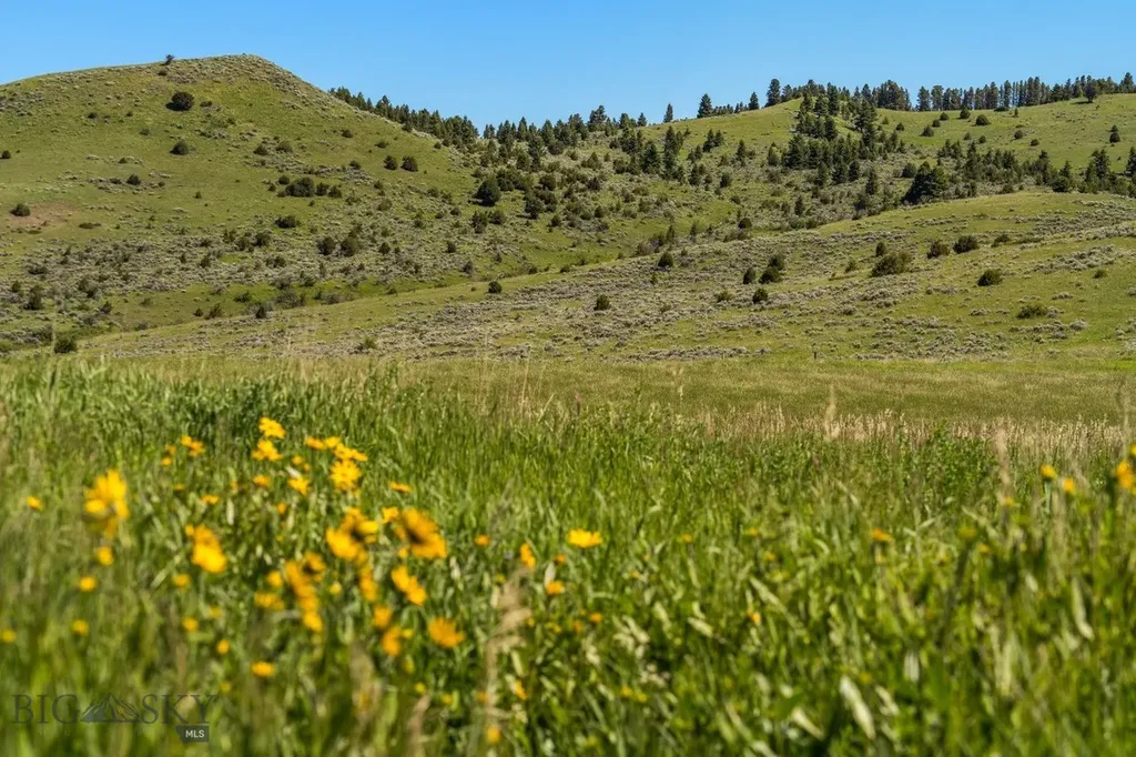 169 N Fork Horse Creek Road Wilsall MT 59086