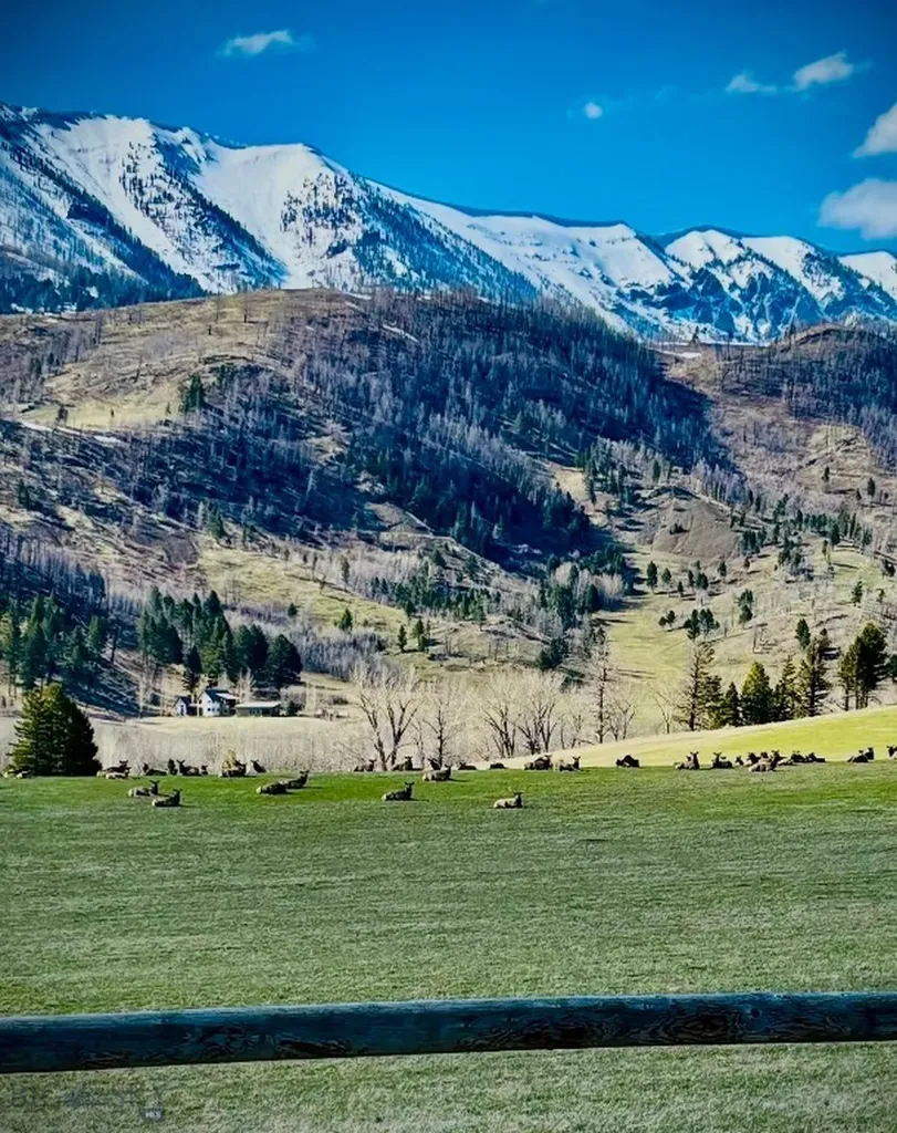 6800 Jackson Creek Road Bozeman MT 59715