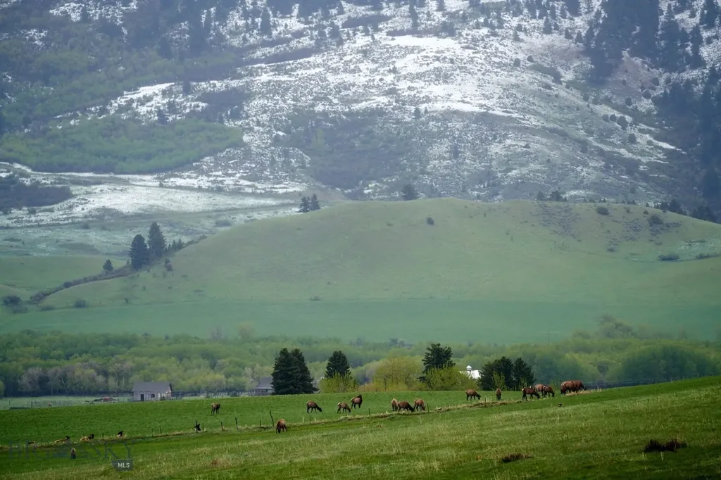 47 Francham Trail Bozeman MT 59715