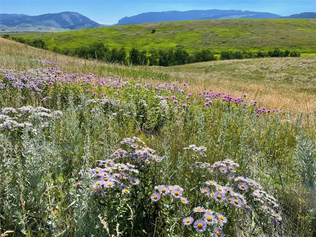 47 Francham Trail Bozeman MT 59715