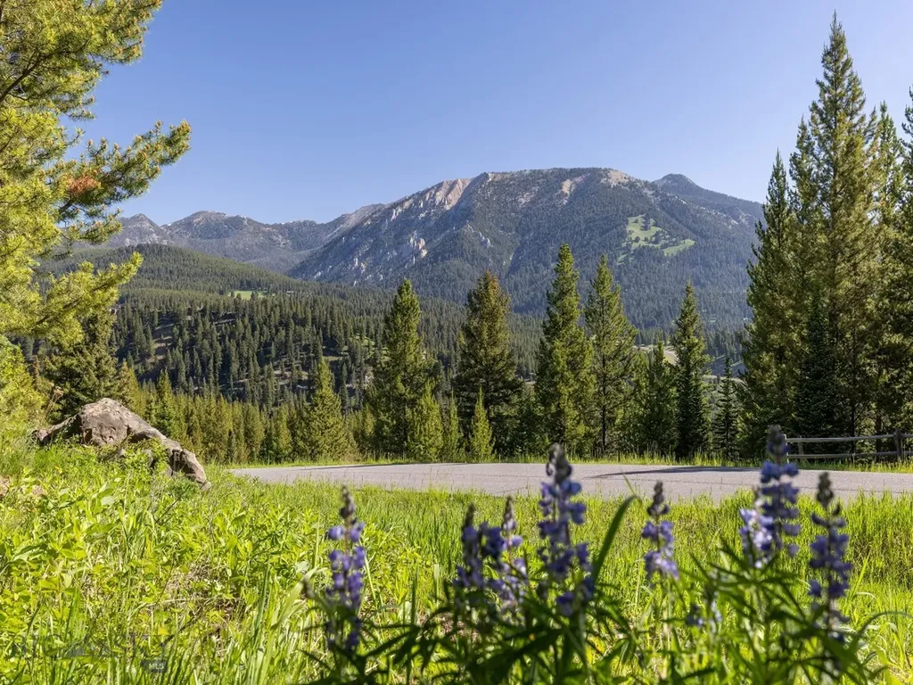 Tbd Gray Owl Lane Big Sky MT 59716