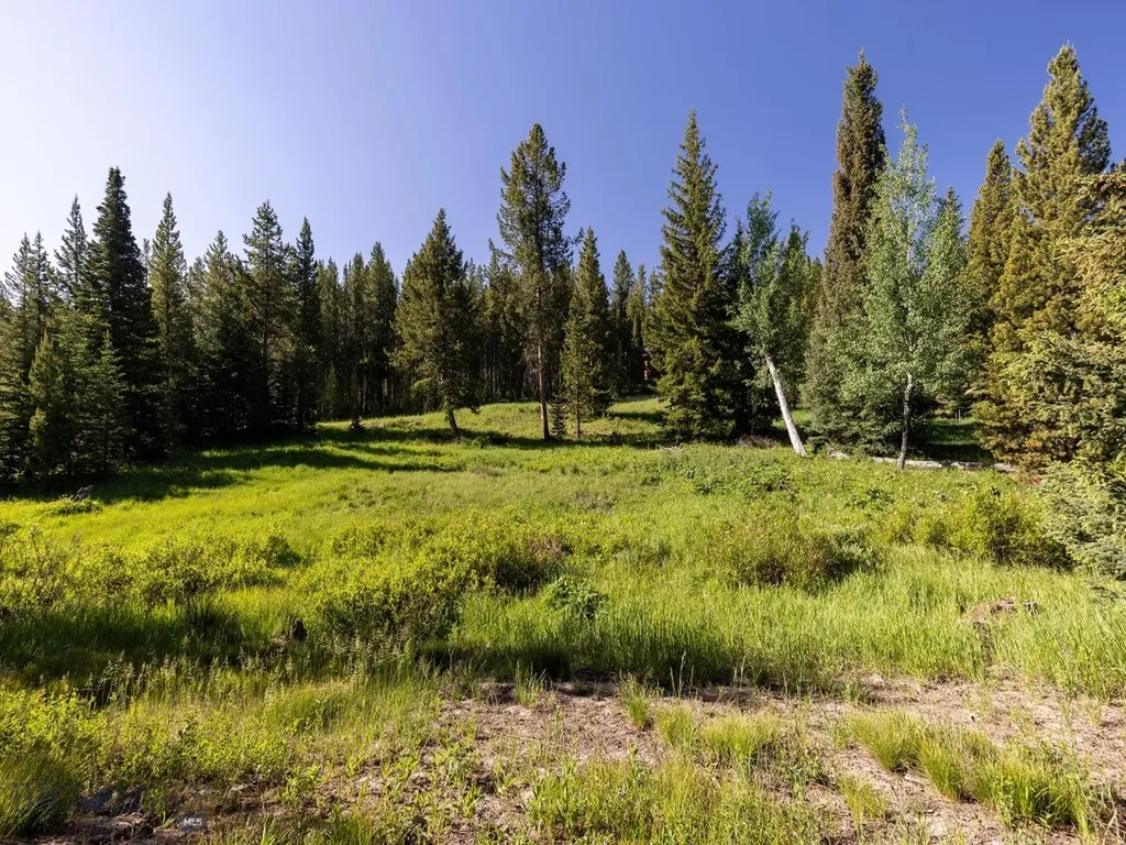Tbd Gray Owl Lane Big Sky MT 59716