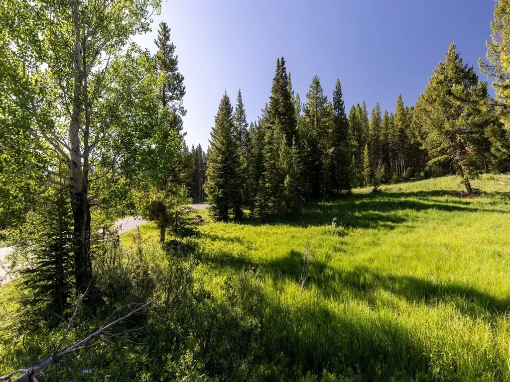 Tbd Gray Owl Lane Big Sky MT 59716