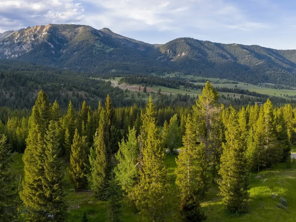 Tbd Gray Owl Lane Big Sky MT 59716