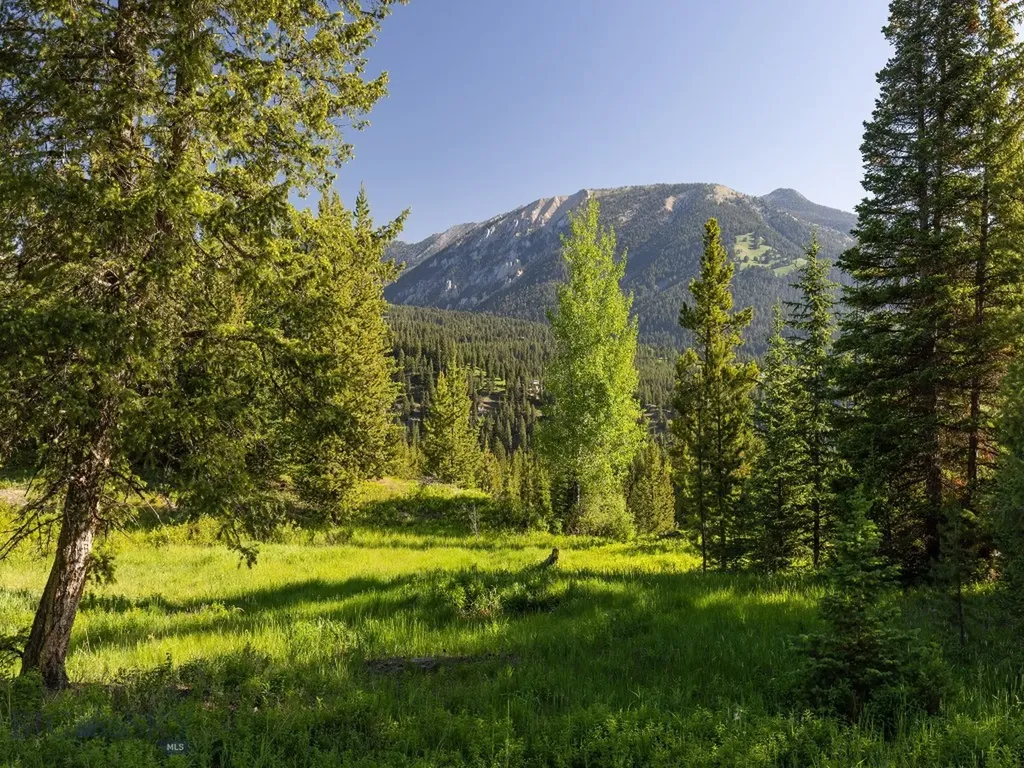 Tbd Gray Owl Lane Big Sky MT 59716
