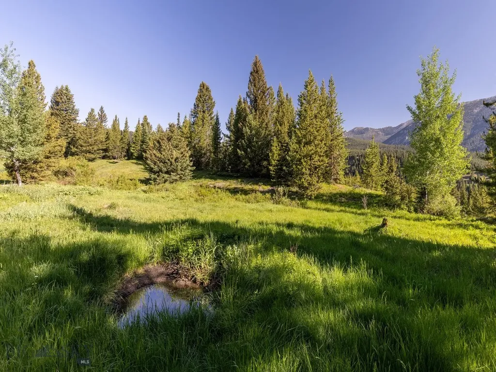 Tbd Gray Owl Lane Big Sky MT 59716