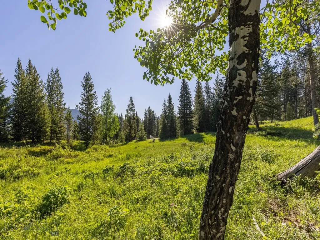 Tbd Gray Owl Lane Big Sky MT 59716