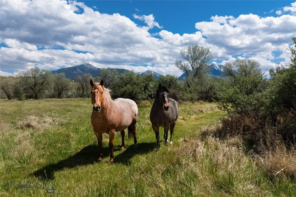 25 Emigrant Meadows Road Emigrant MT 59065