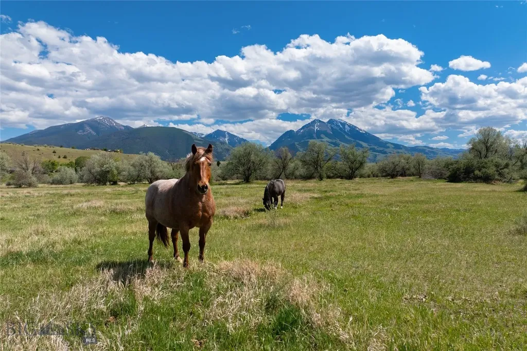 25 Emigrant Meadows Road Emigrant MT 59065