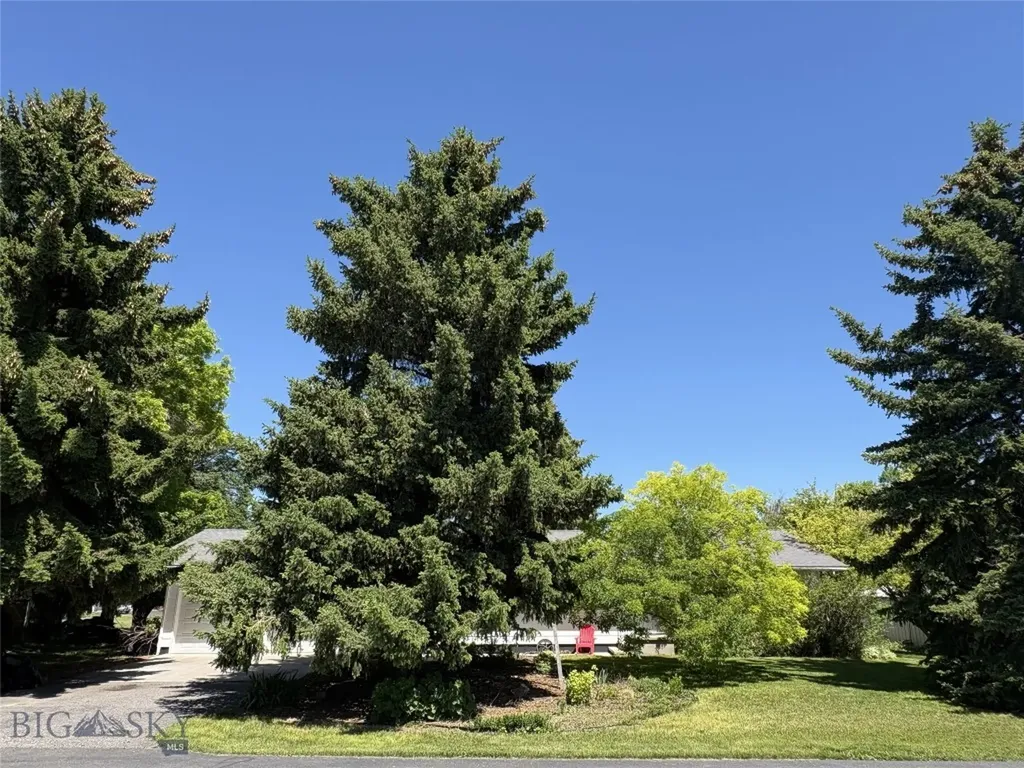 6235 Leonard Street Manhattan MT 59741