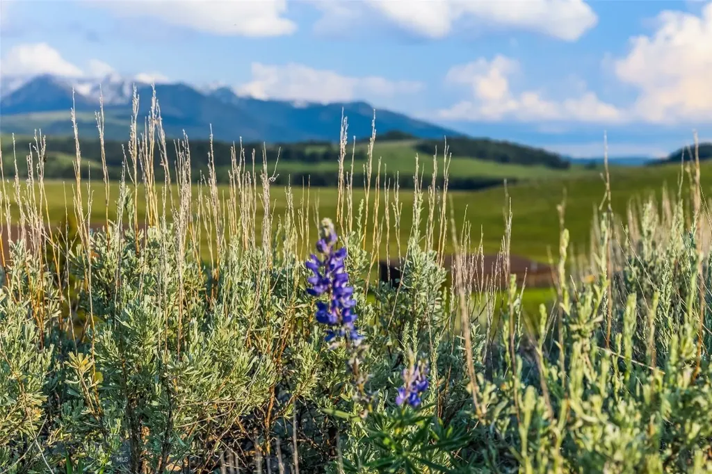 1607 Shields River Road Wilsall MT 59086