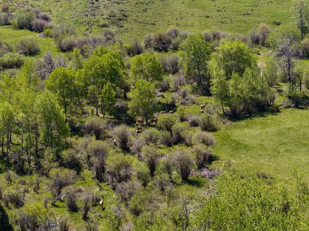 1607 Shields River Road Wilsall MT 59086