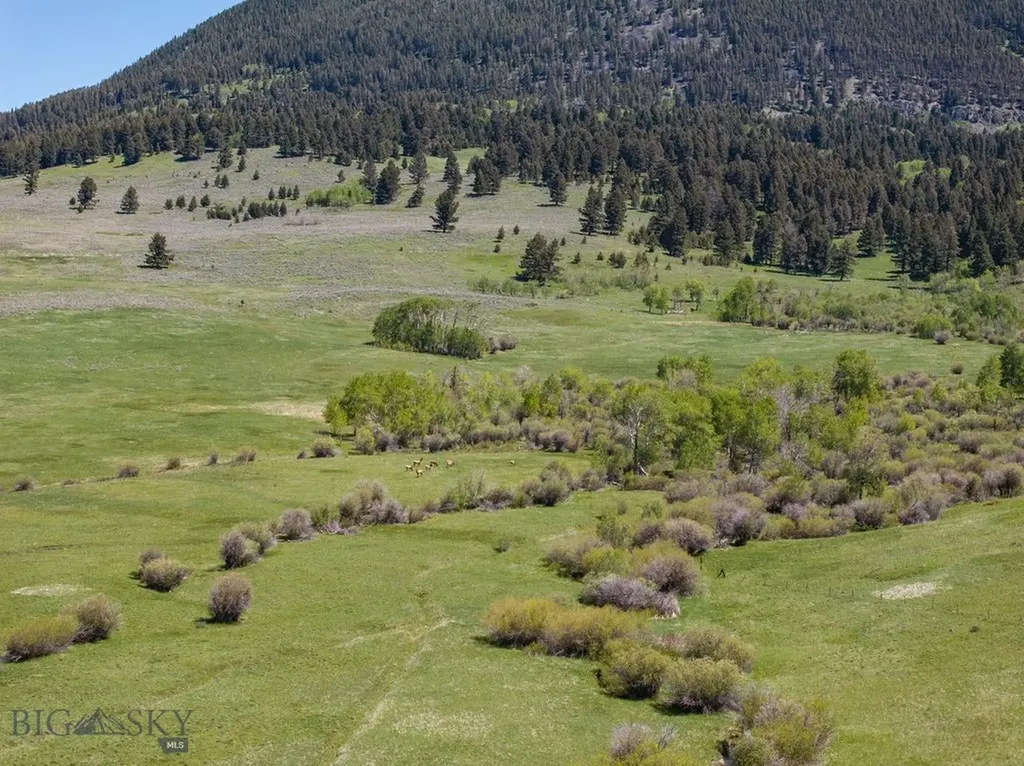 1607 Shields River Road Wilsall MT 59086