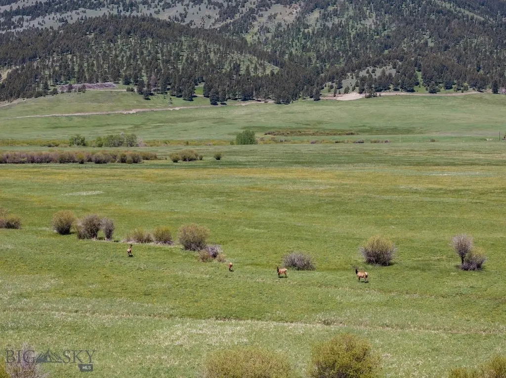 1607 Shields River Road Wilsall MT 59086