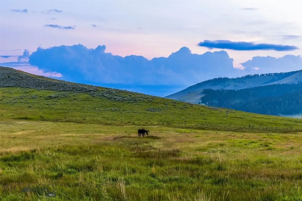 1607 Shields River Road Wilsall MT 59086