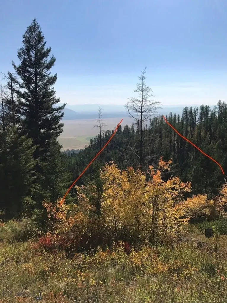Tbd Tbd Helmville MT 59843