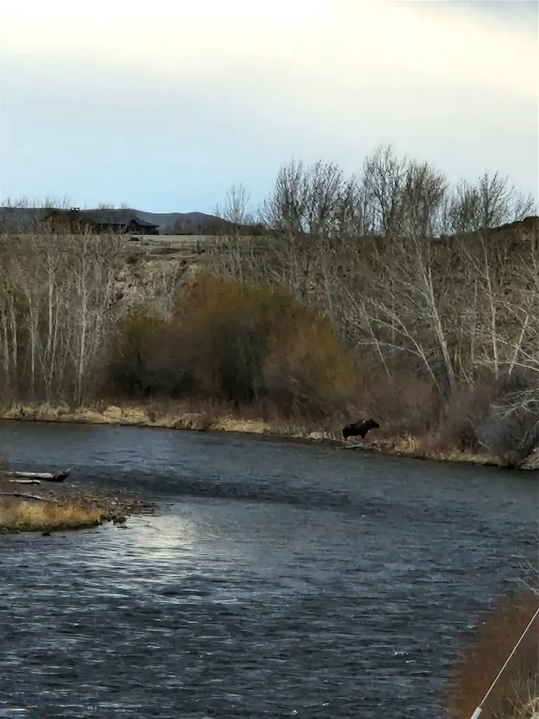 14 Valley View Twin Bridges MT 59754