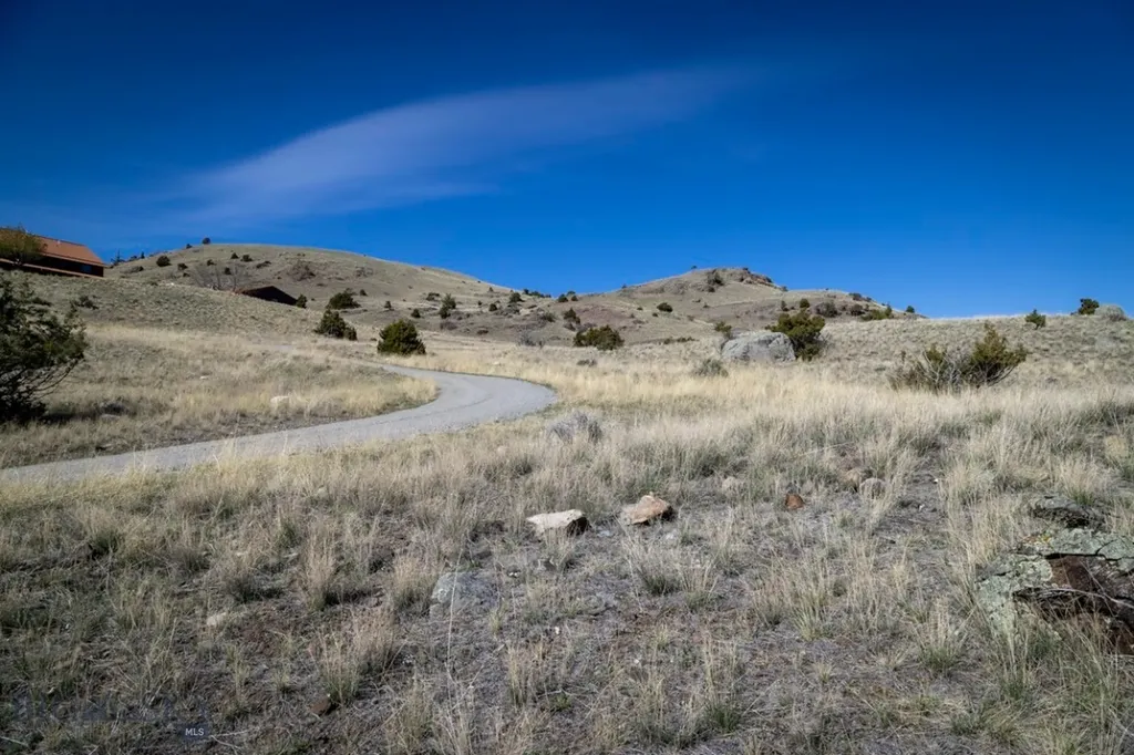 Tbd Leo Drive Emigrant MT 59027