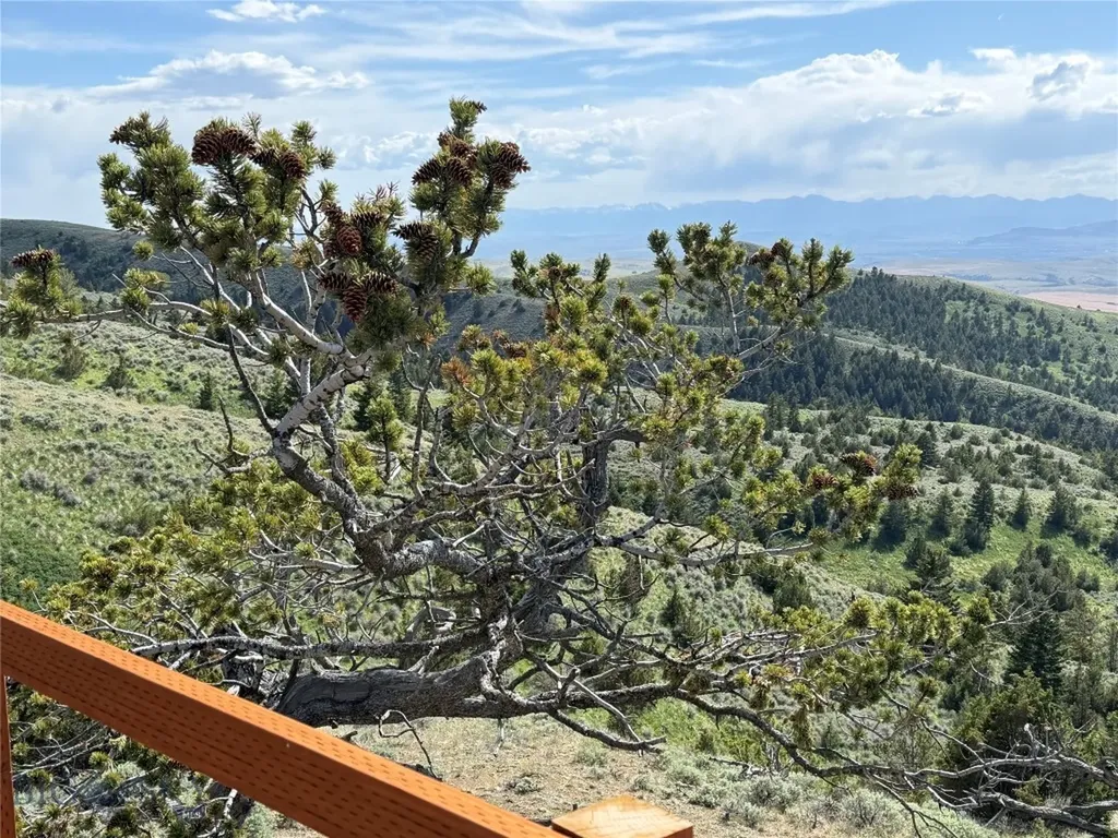 20590 Pole Gulch Road Three Forks MT 59752