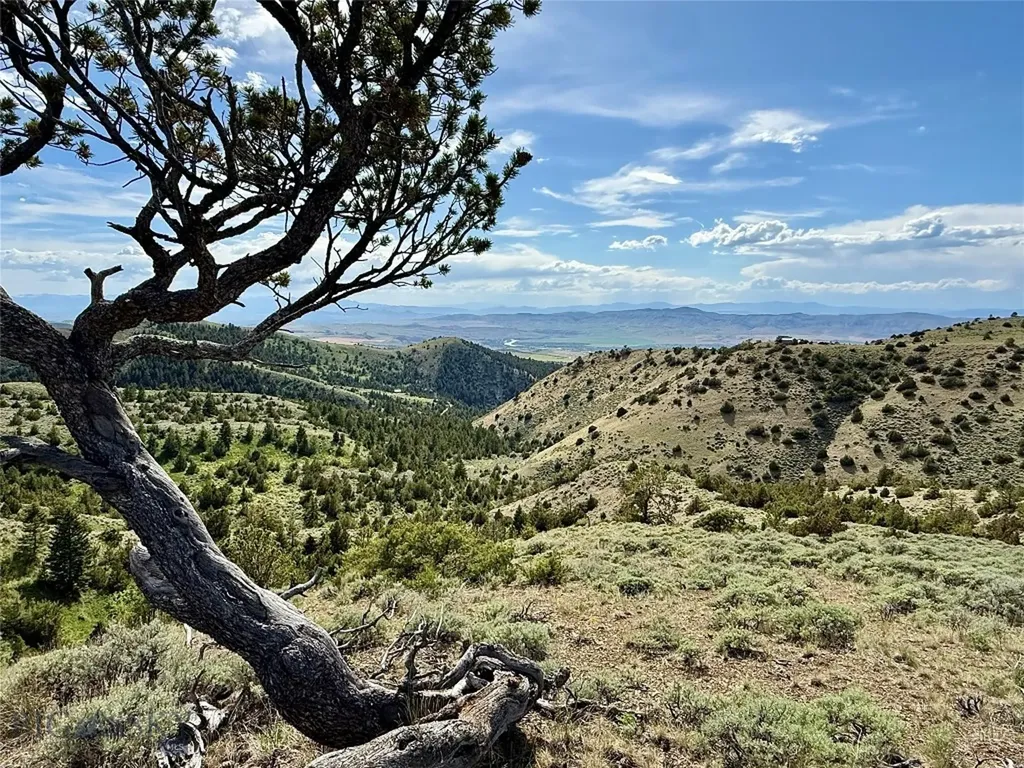 20590 Pole Gulch Road Three Forks MT 59752