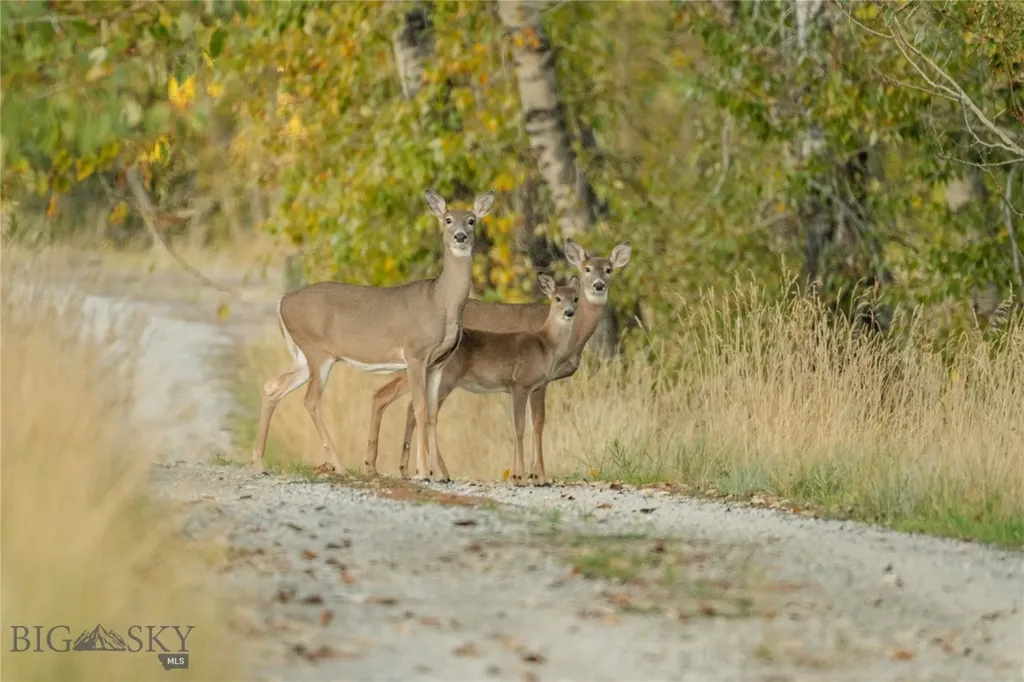 104 Running River Way Absarokee MT 59001