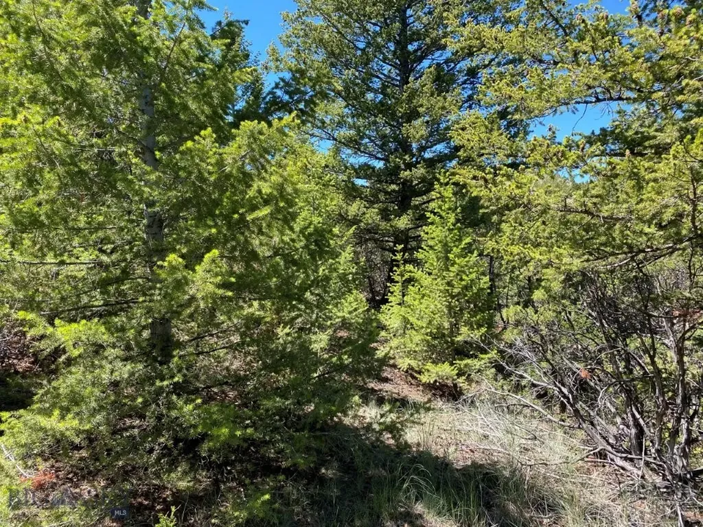 17 Keating Gulch Road Townsend MT 59644