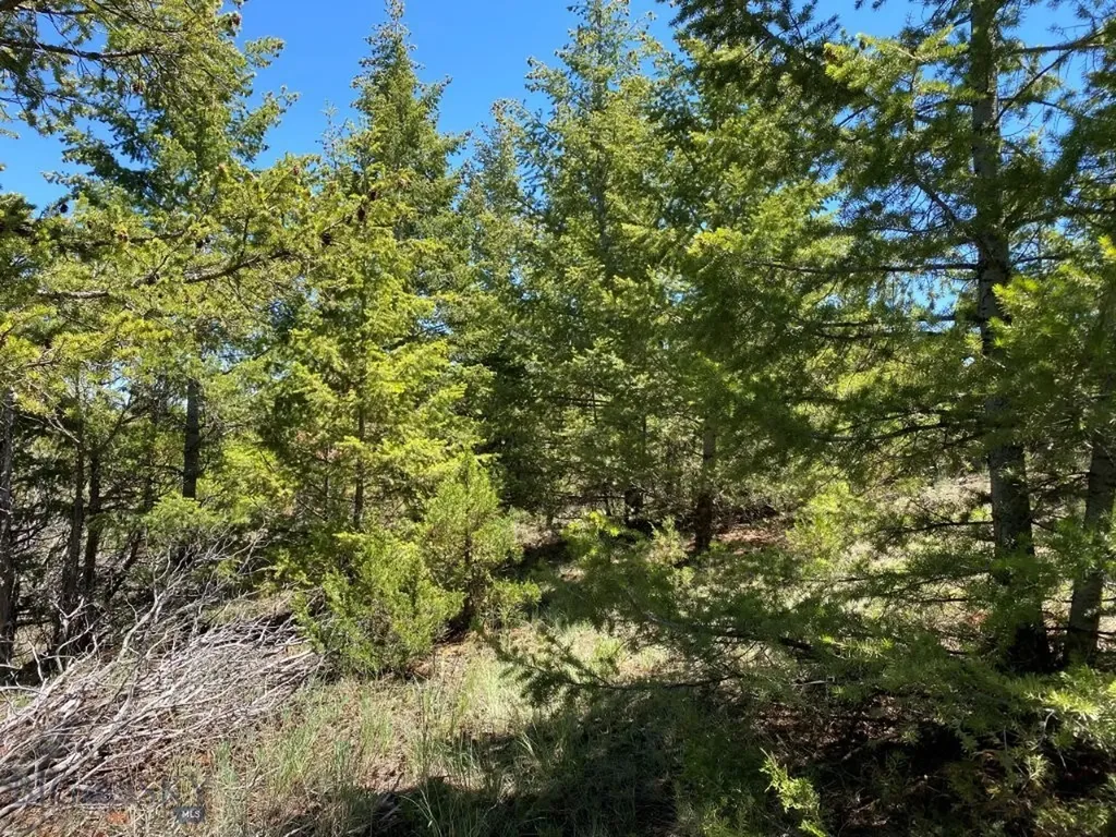 17 Keating Gulch Road Townsend MT 59644